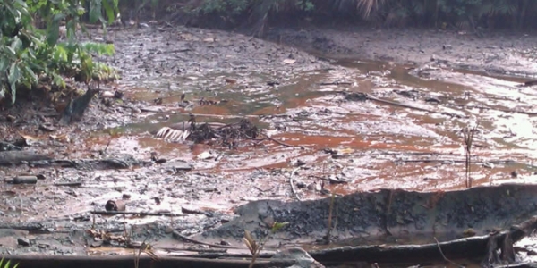 Niger Delta Oil Spills Clean-Up Will Take 30 Years, Says UN
